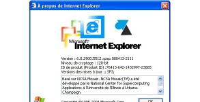IE6 Internet Explorer 6 logo