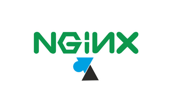 nginx logo serveur web