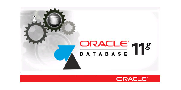 tutoriel serveur Oracle 11g 11