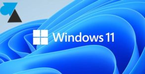 WF Windows 11 logo