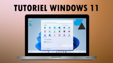 WF tutoriel Windows 11 W11 brun