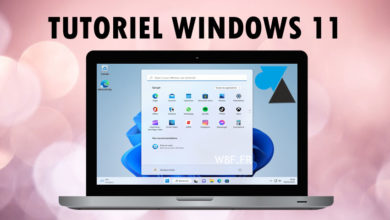 WF tutoriel Windows 11 W11 rose