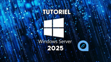 tutoriel Windows Server 2025 WF WS2025