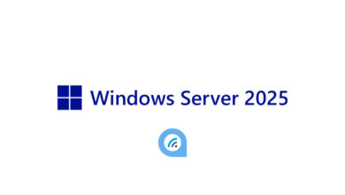 WF Windows Server 2025 Logo
